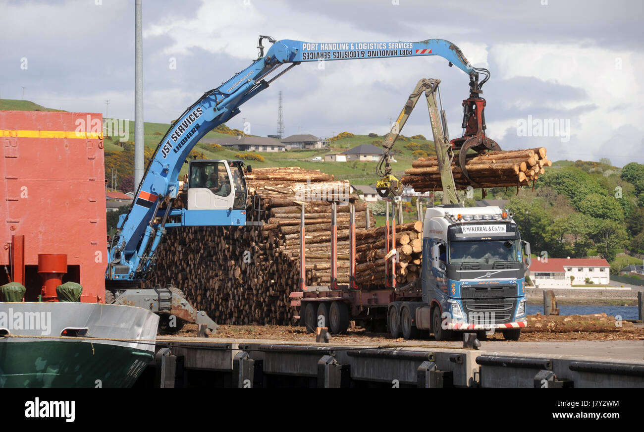 TIMBER BEING LOADED BY CRANE AT CAMPELTOWN HARBOUR KINTYRE SCOTLAND UK Stock Photo