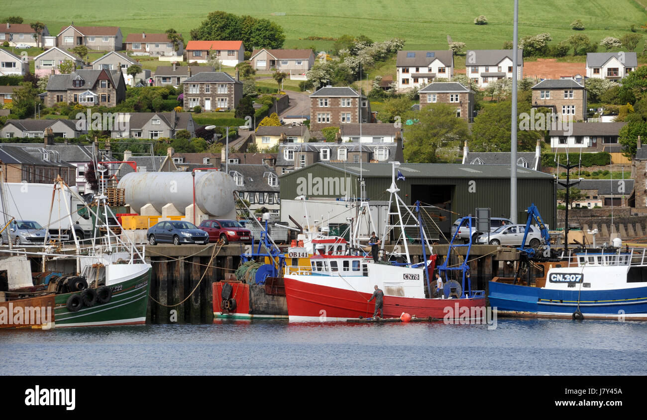 BOATS IN CAMPBELTOWN HARBOUR KINTYRE SCOTLAND WITH HOUSING BEHIND UK Stock Photo