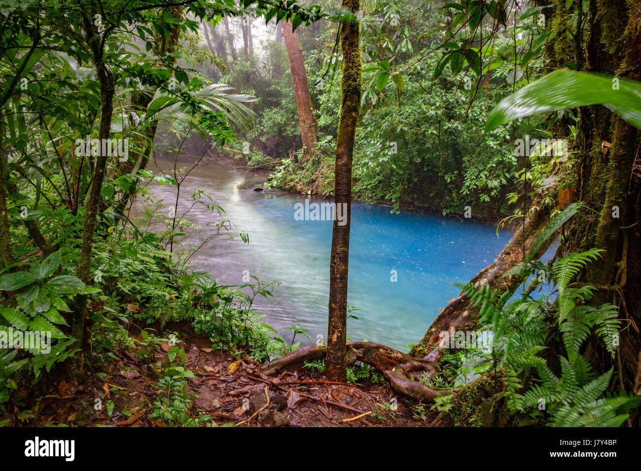 The start of blue river in Costa Rica Stock Photo Alamy