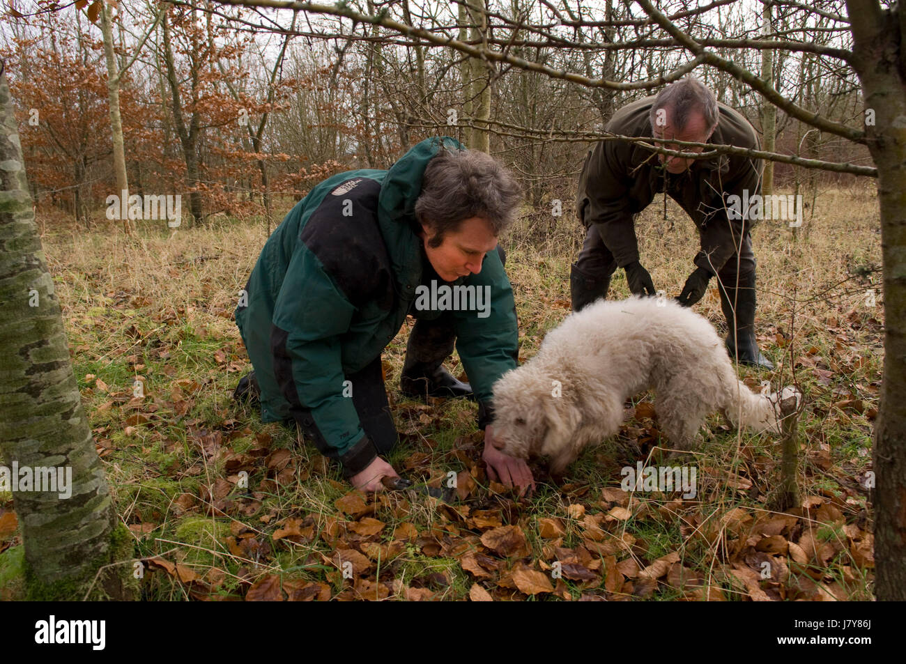Trufffle Hunting in Berkshire with chef John Campbell of The Vineyard