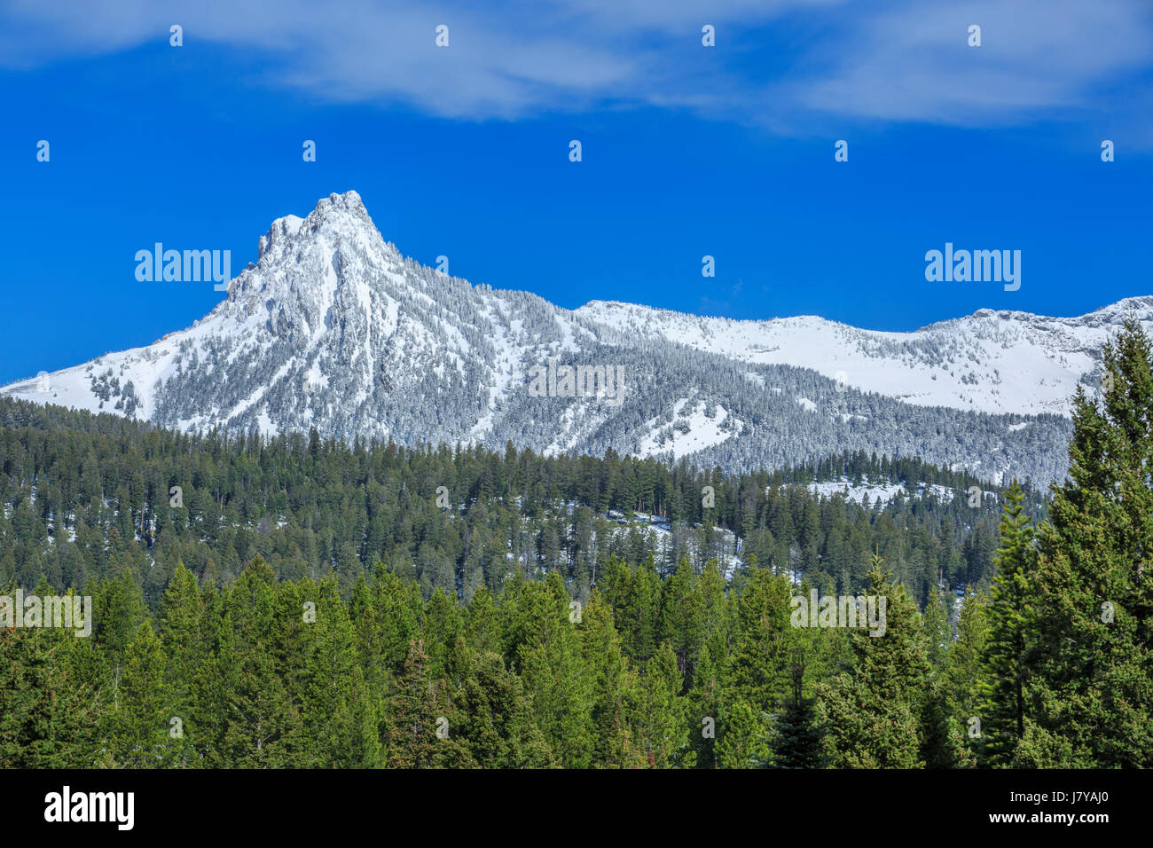ross peak in the bridger range of gallatin national forest near bozeman, montana Stock Photo