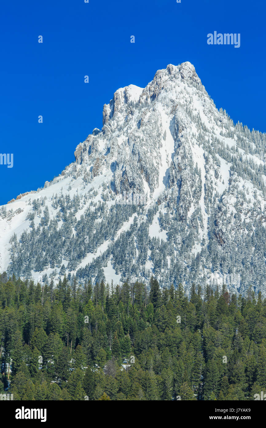 ross peak in the bridger range of gallatin national forest near bozeman