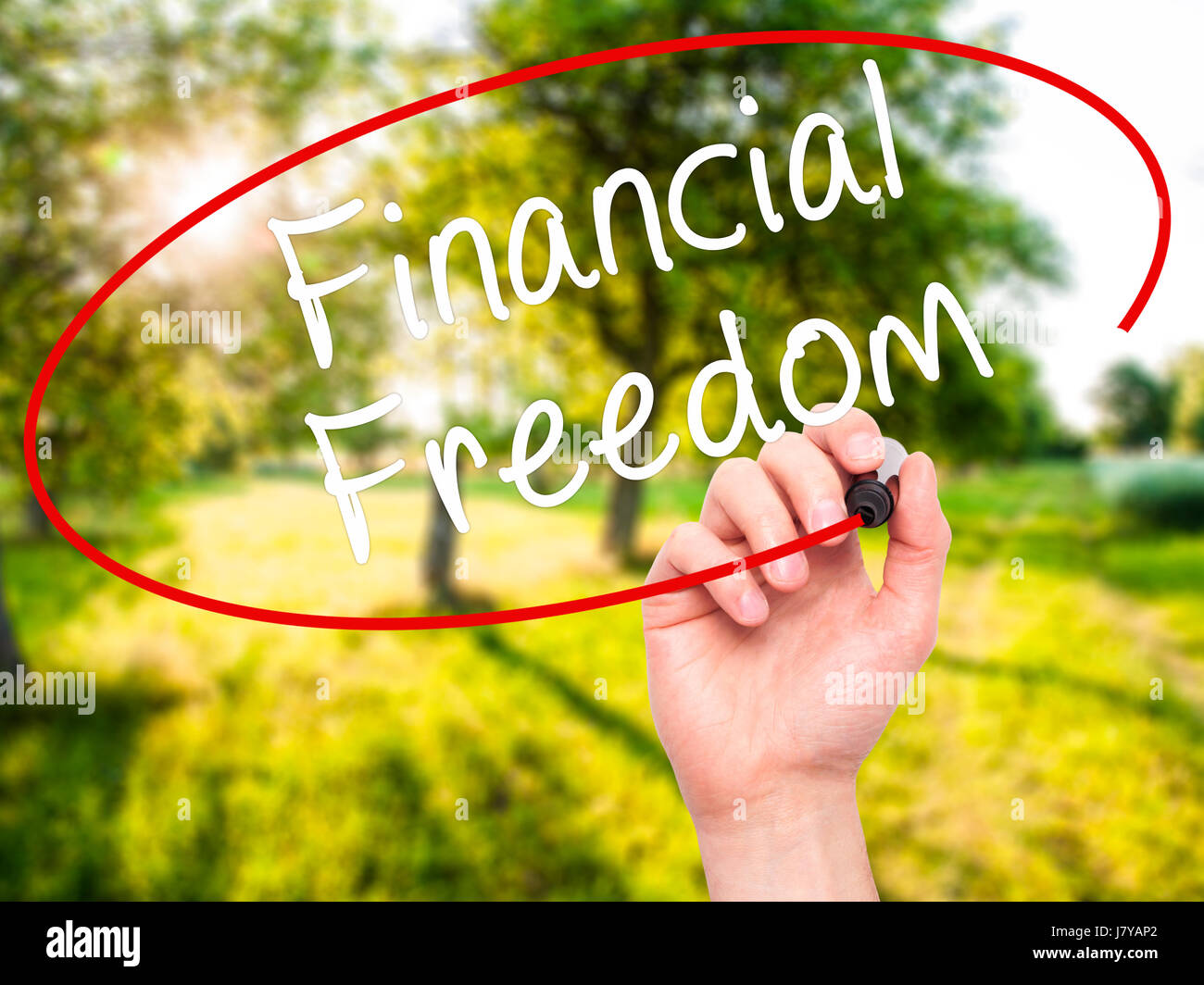 Man Hand writing Financial Freedom with black marker on visual screen ...