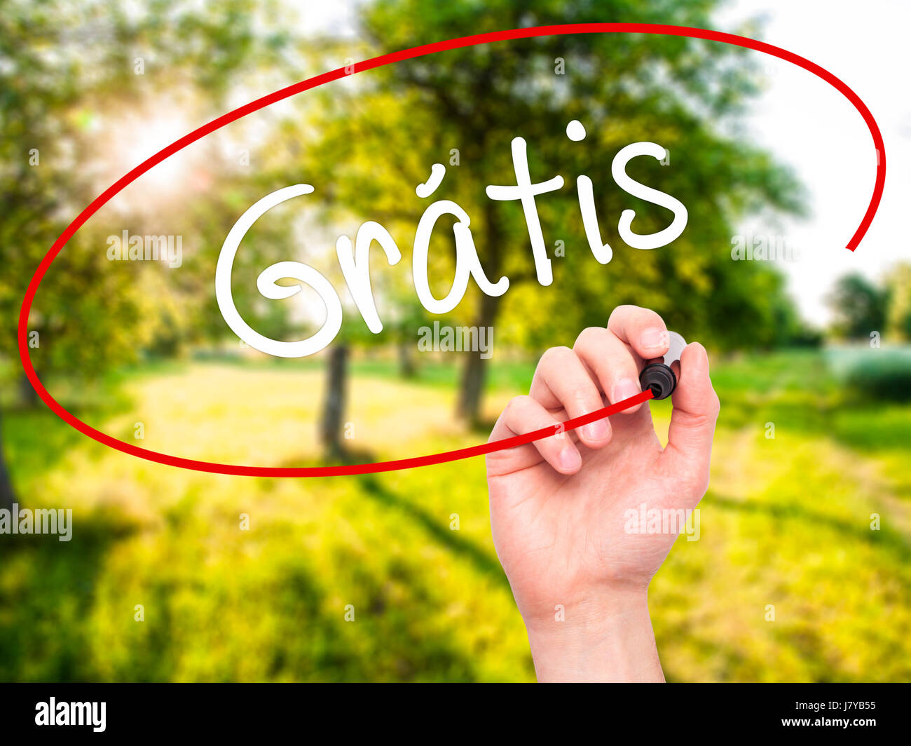 Man Hand writing Gratis with black marker on visual screen. Isolated on ...