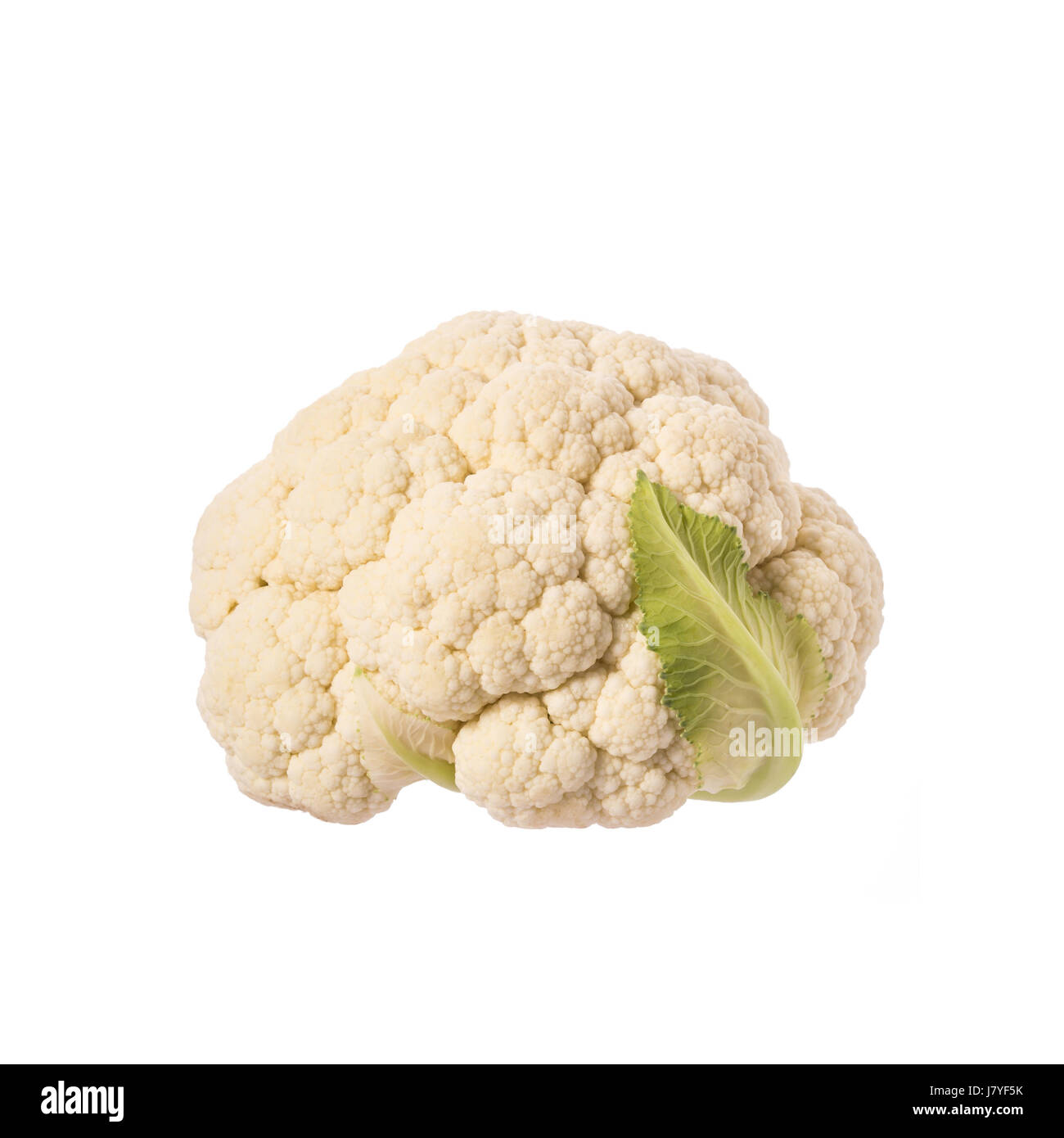 Frsh white cauliflower. Studio shot isolated on white background Stock Photo