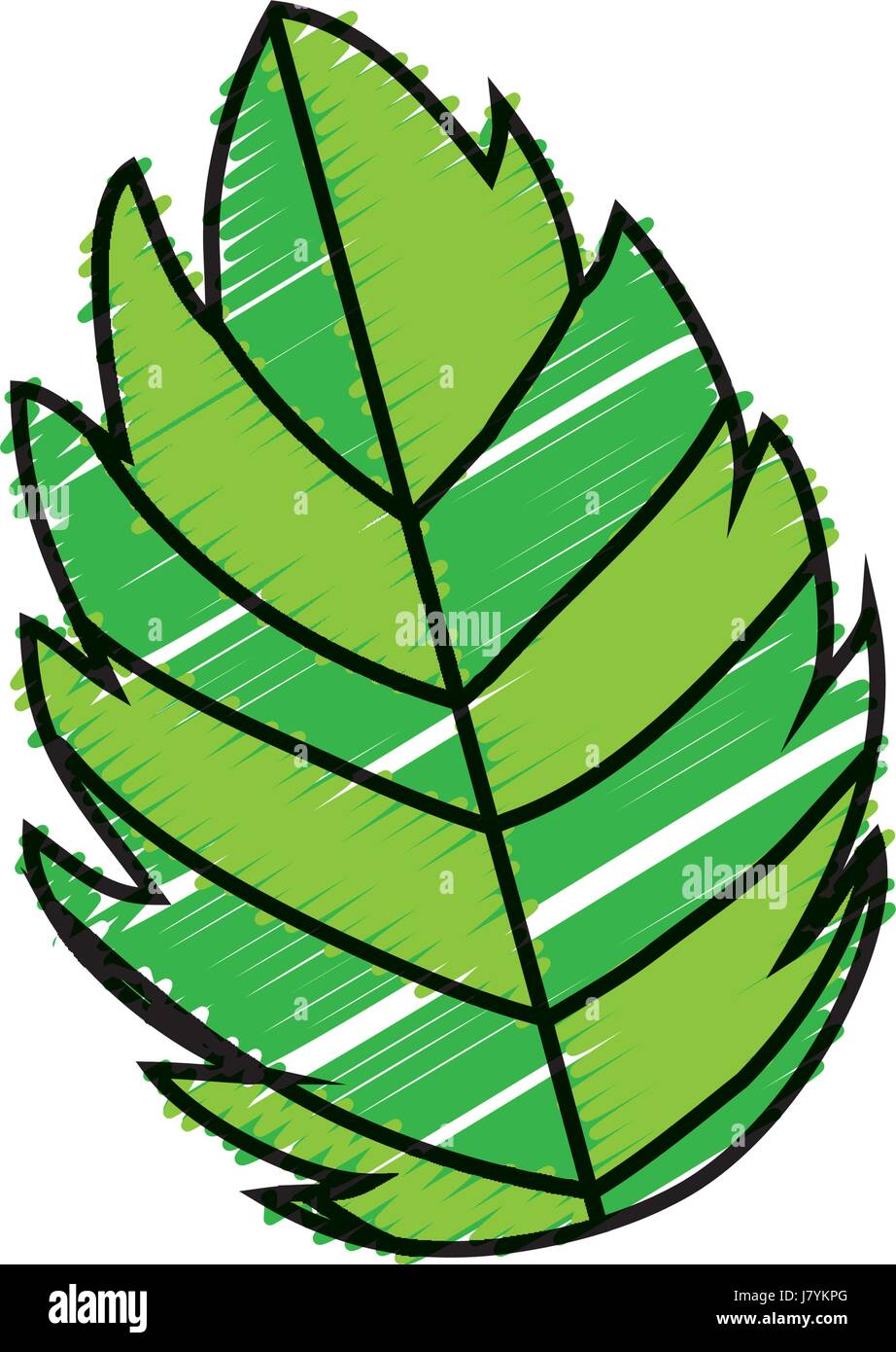 leaf icon image Stock Vector Image & Art - Alamy