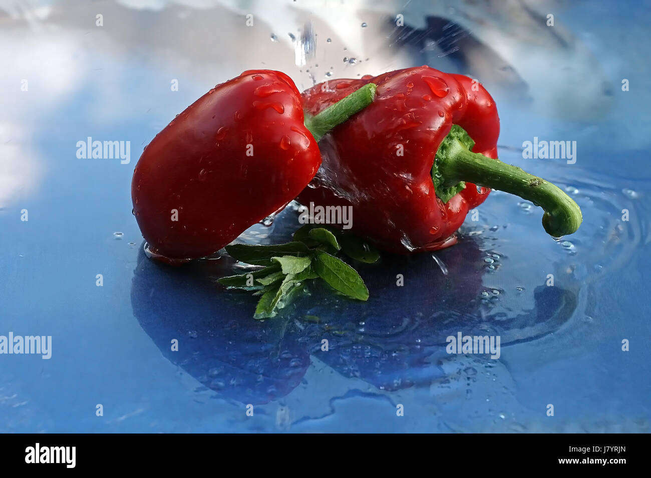 Vitamin visual data 5