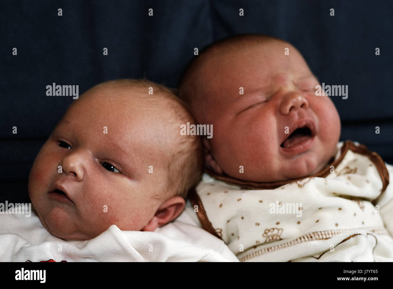 lie lying lies baby offspring infants facilitate ease resting relax