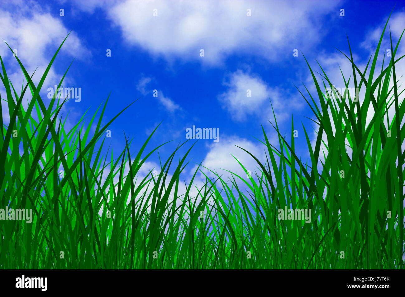 graphic sunbeams illustration blades of grass blade of grass grass