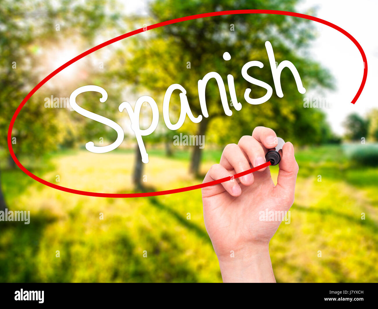 Man Hand writing Spanish with black marker on visual screen. Isolated