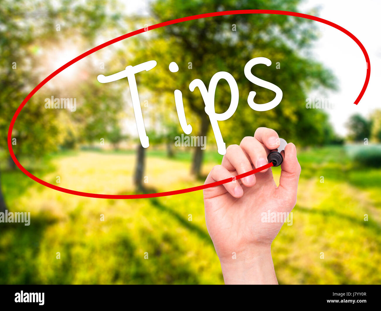 Man Hand writing Tips with black marker on visual screen. Isolated on ...