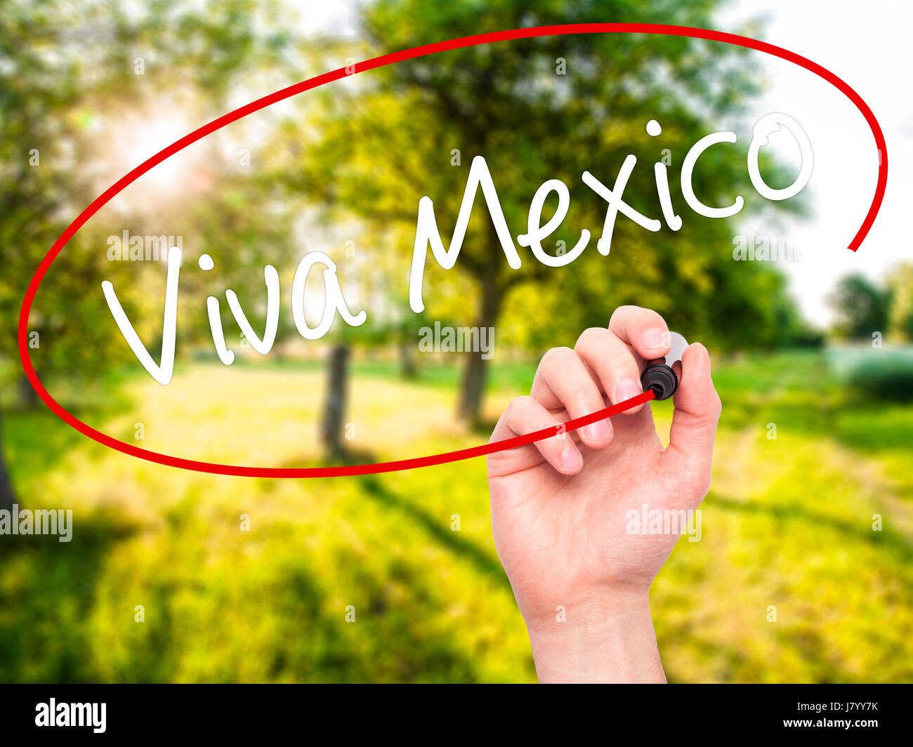 Man Hand writing Viva Mexico with black marker on visual screen. Isolated on nature. Business, technology, internet concept. Stock Photo Stock Photo