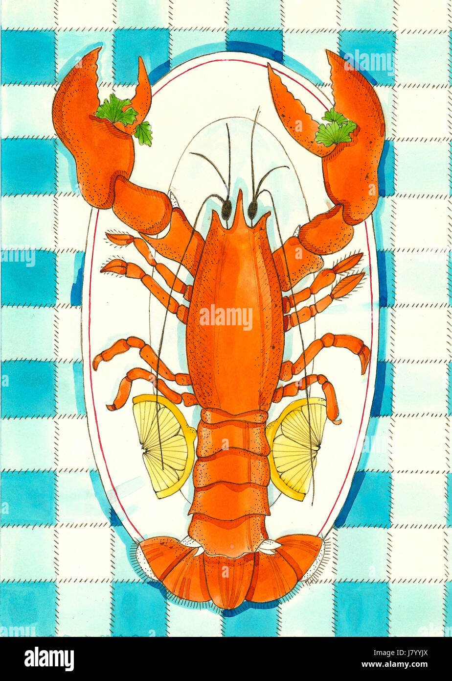 Lobster illustration hires stock photography and images Alamy