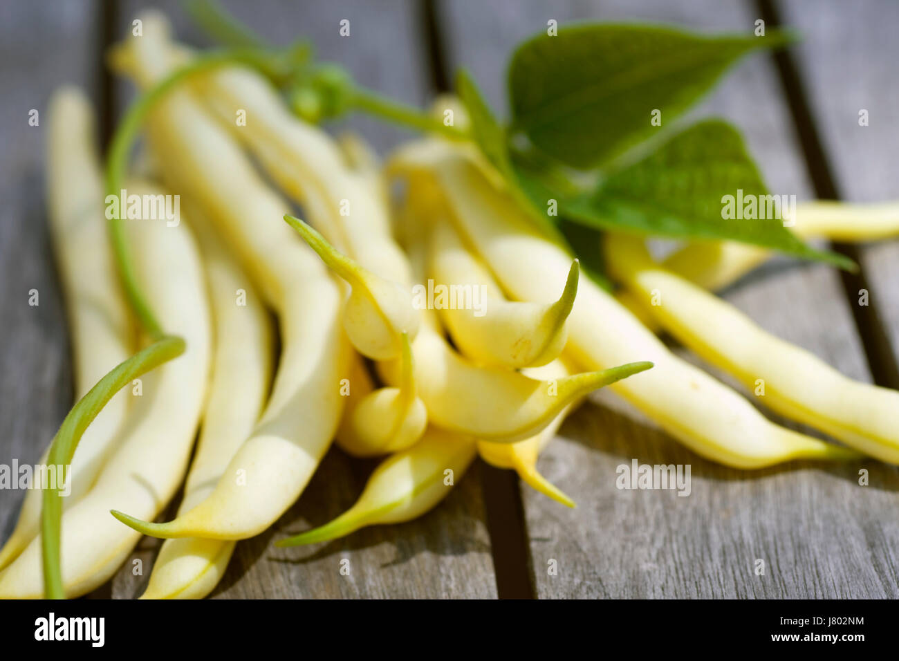 yellow beans with leaves Stock Photo - Alamy