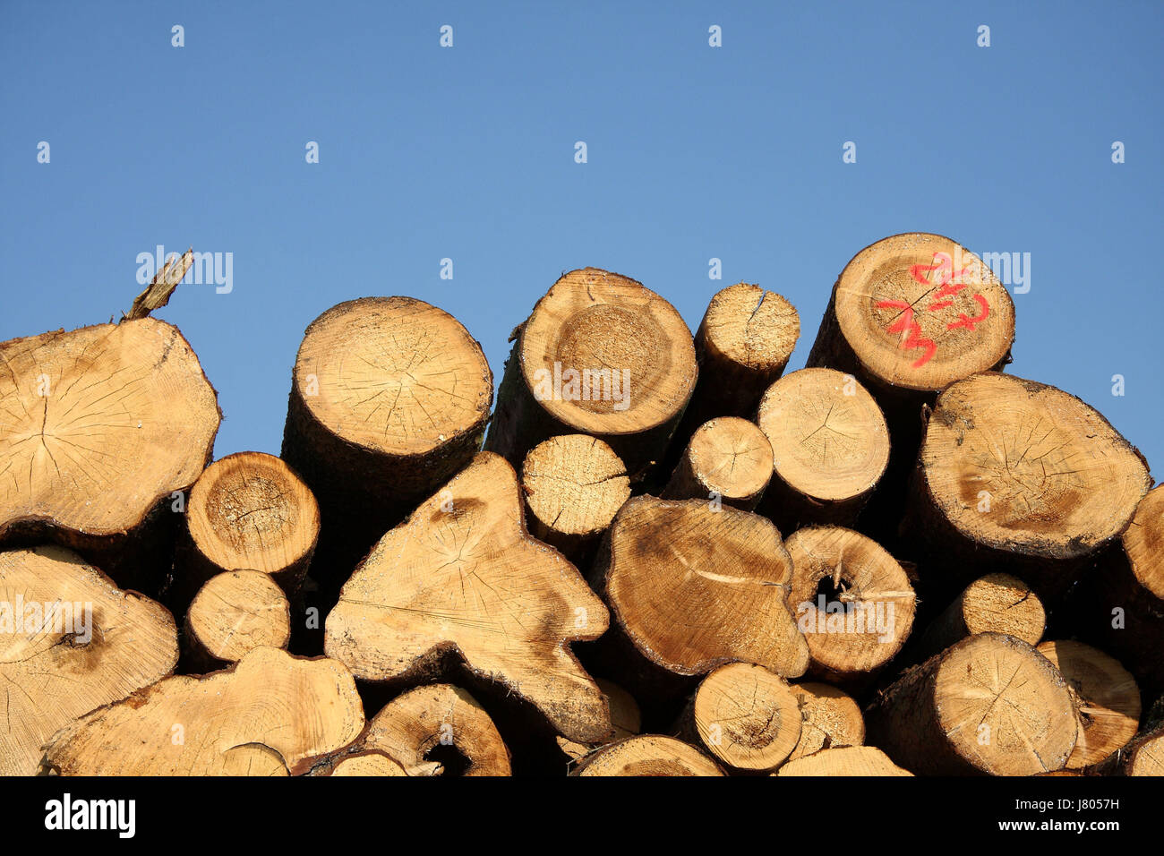 blue wood marking stacked firmament sky red blue wood trunk marking landscape Stock Photo