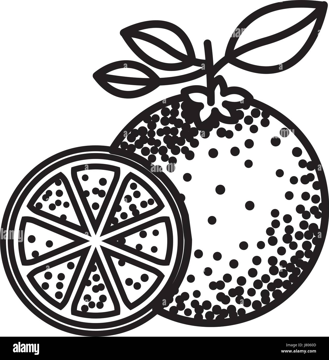 Orange Fruit Clipart Black And White