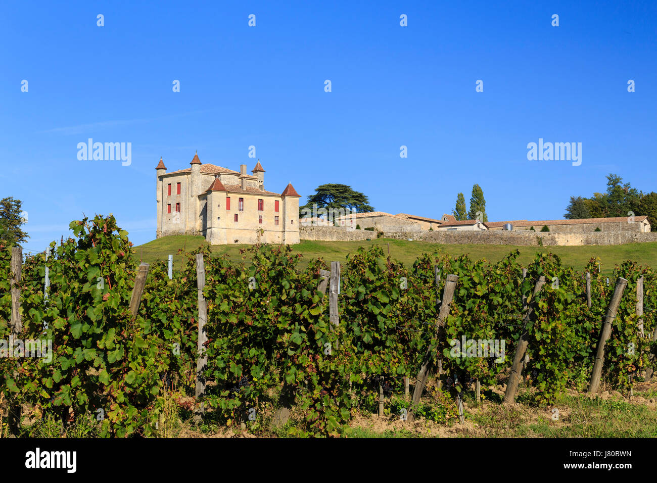 France, Gironde, Puisseguin, chateau de Monbadon and the vineyard A.O.C puisseguin saint emilion Stock Photo