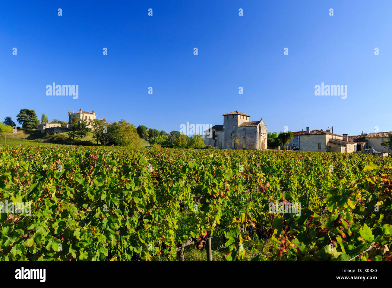 France, Gironde, Puisseguin, Monbadon  Church and Castle and vineyards AOC Puisseguin Saint Emilion Stock Photo
