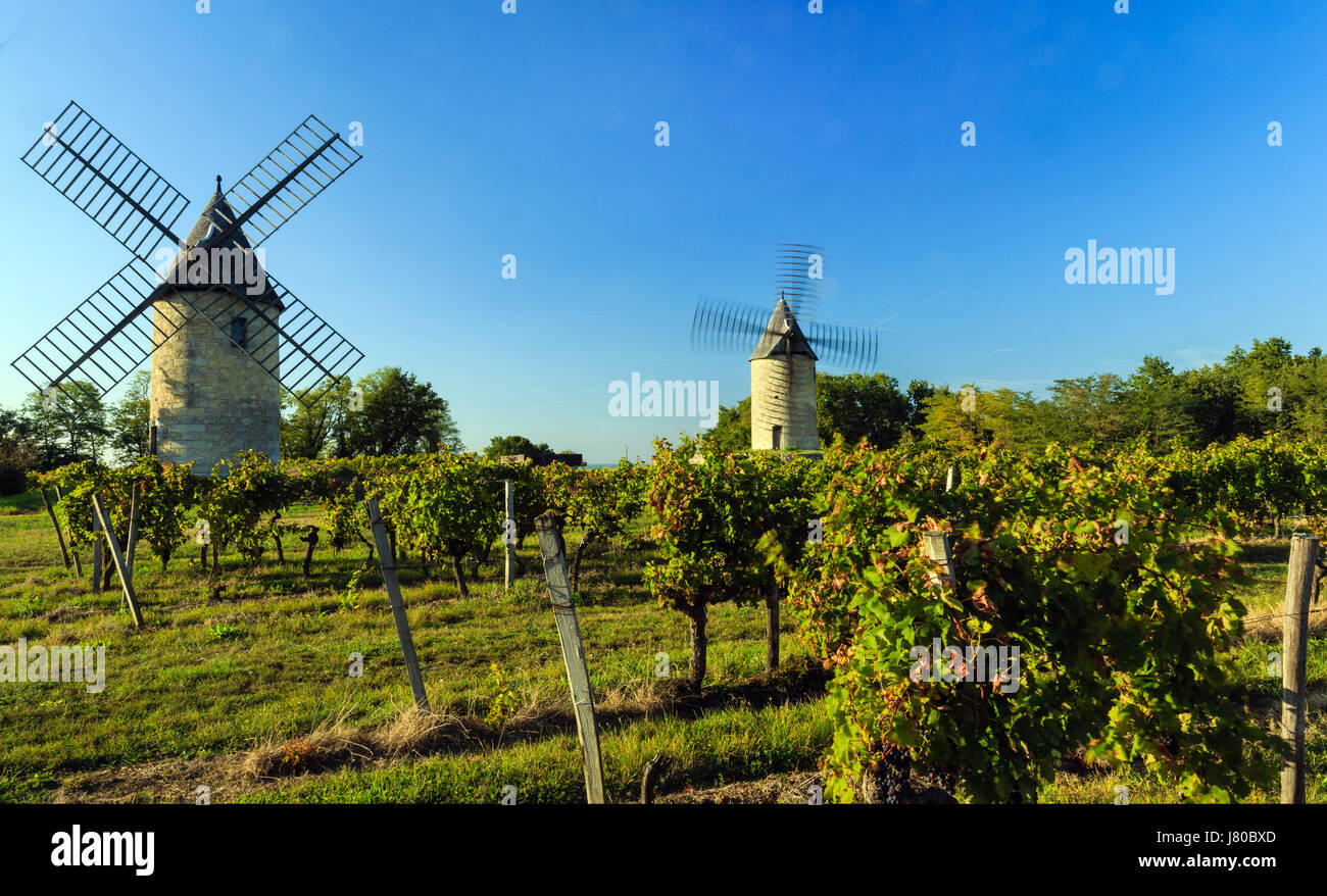 France, Gironde, Montagne, Moulins de Calon (Calon Mills) and the vineyard appellation Montagne Saint Emilion Stock Photo