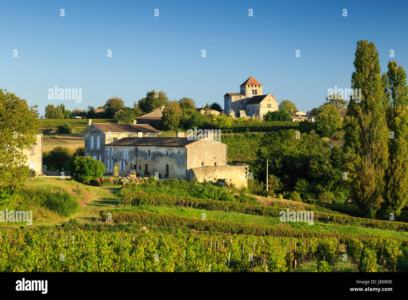 France, Gironde, Montagne, the village and the vineyard appellation Montagne Saint-Emilion, foreground Château Paradis vineyard and house Stock Photo