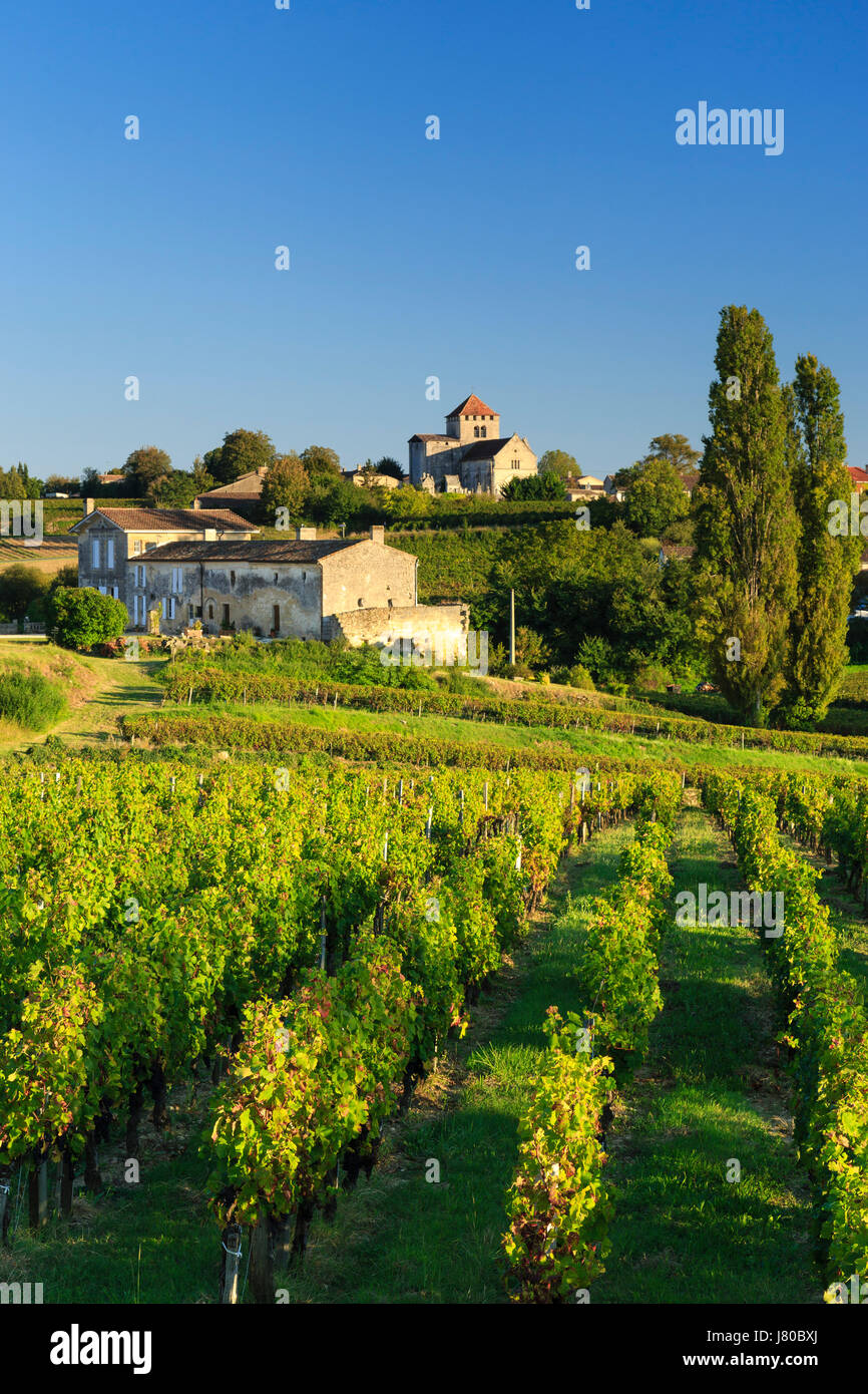 France, Gironde, Montagne, the village and the vineyard appellation Montagne Saint-Emilion, foreground Château Paradis vineyard and house Stock Photo