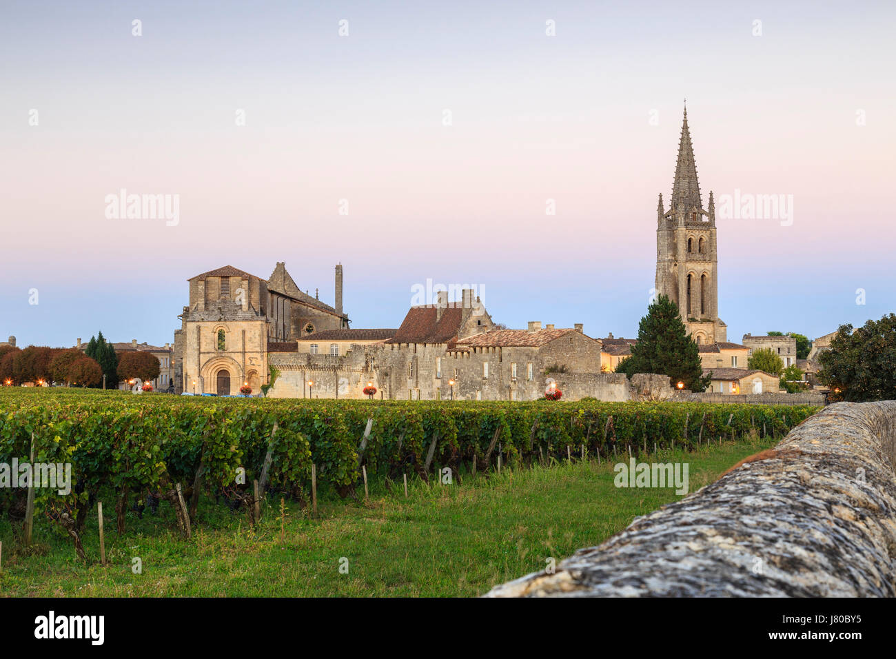 France, Gironde, Saint Emilion, listed as World Heritage by UNESCO, vineyard, bell tower of the monolithic church right Stock Photo