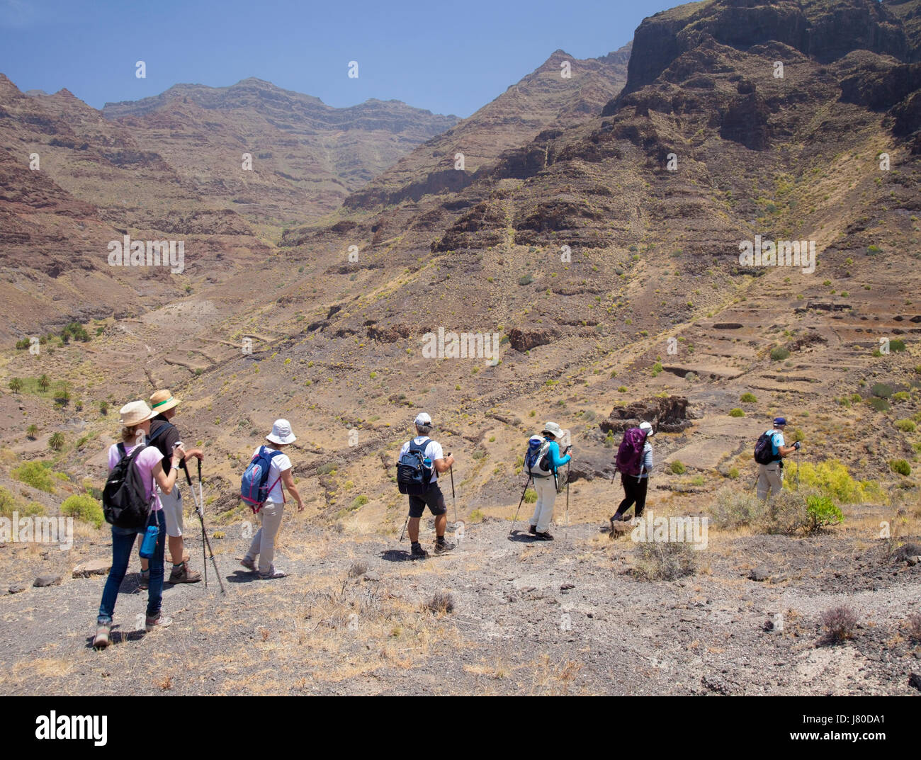 Western Gran Canaria, May, hiking route Tasartico - Playa GuiGui, ravine Barranco de Guigui 