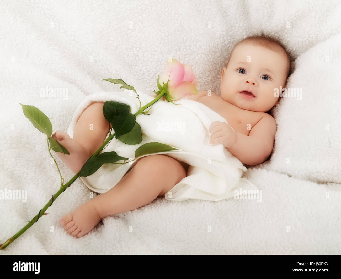 baby newborn child newborn infant newborn neonate child flower plant ...