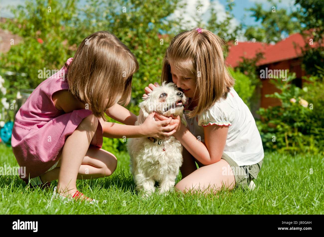 Детки играют с кисками. Собака для детей. Дети играют с животными. Ребенок играет с собакой. Дети играющие с собакой.
