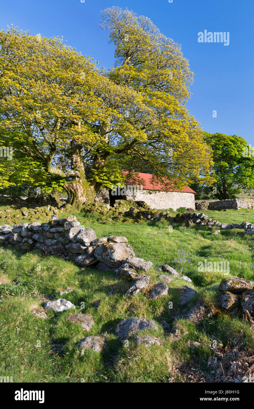 Emsworthy Barn on Dartmoor Stock Photo Alamy