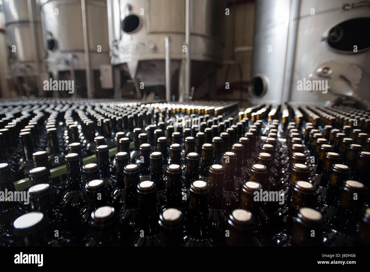 Bottles of unlabeled red wine stand in rows inside a winery. Stock Photo