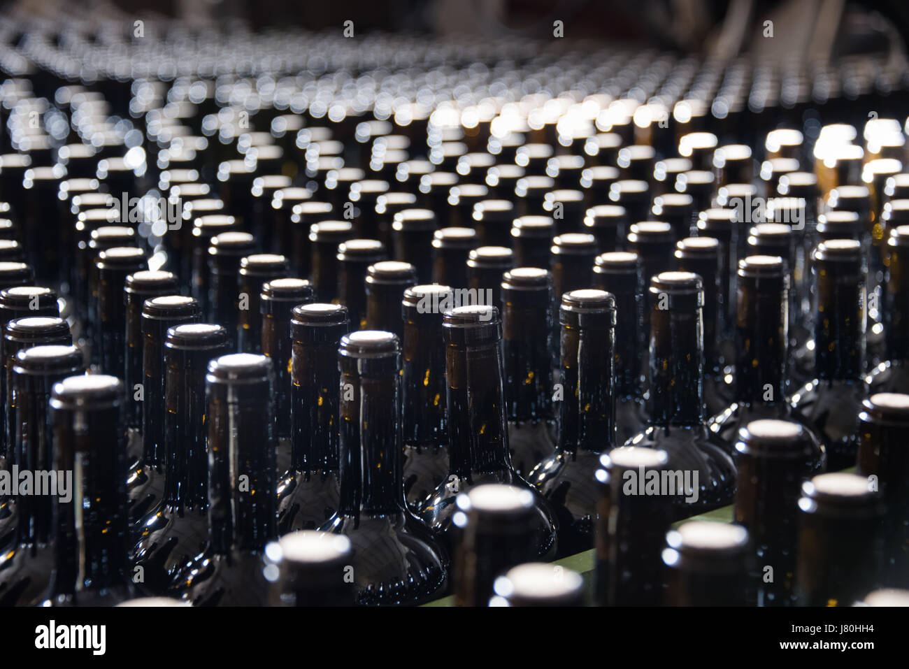 Bottles of unlabeled red wine stand in rows inside a winery. Stock Photo