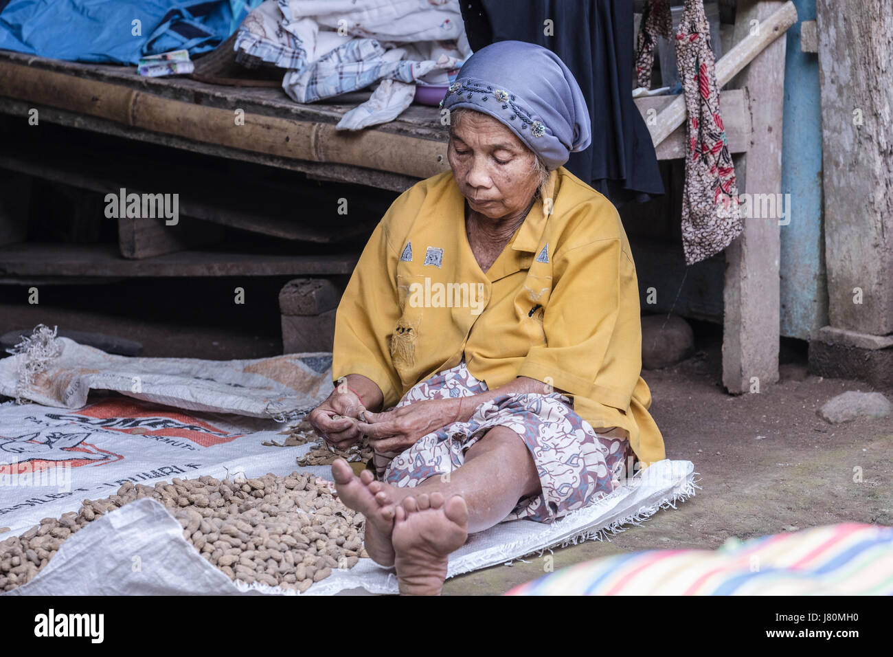 woman peeling peanuts in Magelang, Borobudur, Java, Indonesia, Asia Stock Photo