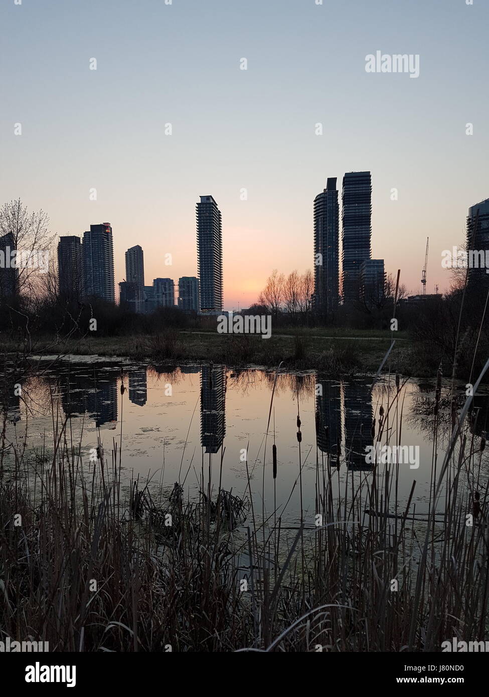 High rise buildings showing real estate growth in Humber Bay area by