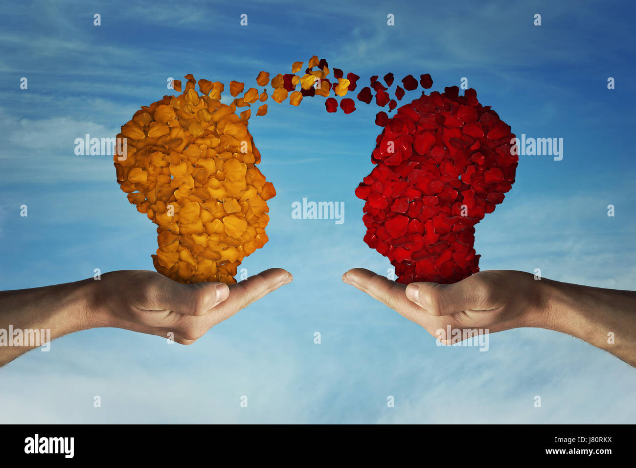 Two hands holding rose petal heads on blu sky background. Romantic relationship concept. Attachment and love symbol, giving and exchange of feelings a Stock Photo