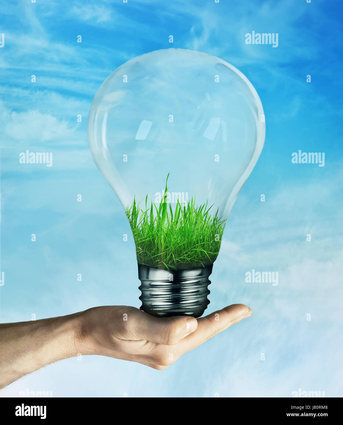 Human hand holding a light bulb, with green grass growing inside, on blue sky background. Energy saving concept, environmental friendly ecology. Stock Photo