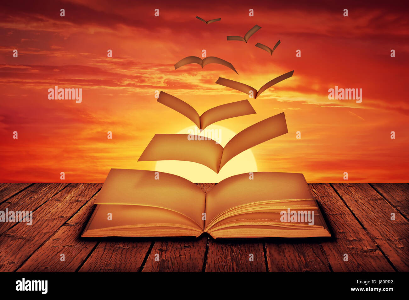 Unwritten white pages flying out of a book and transform into magic birds, escape on a sunset background. Stock Photo