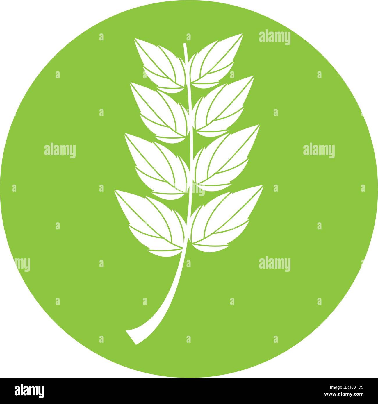 leaf plant seasonal icon Stock Vector Image & Art - Alamy