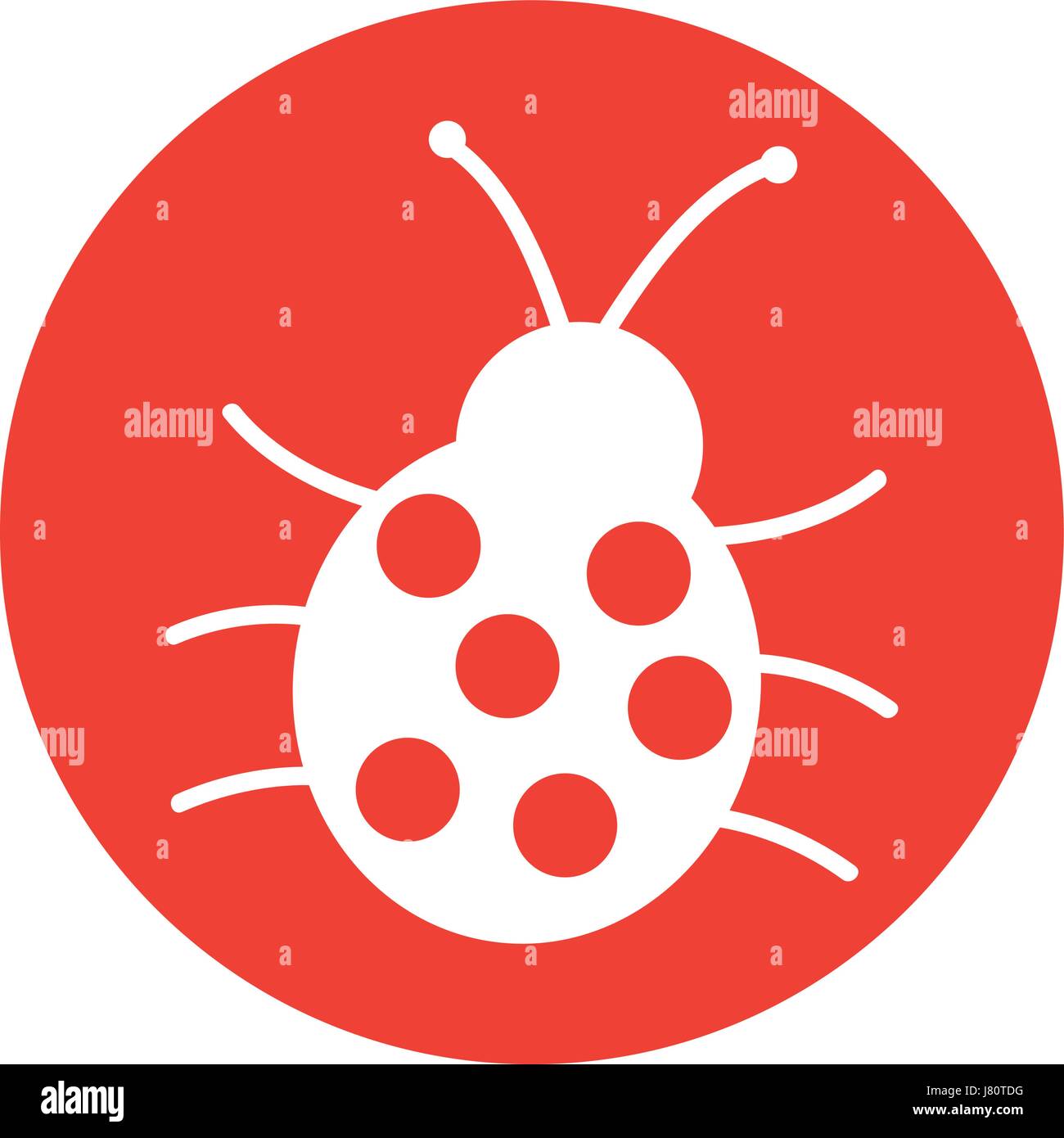 cute ladybug isolated icon Stock Vector Image & Art - Alamy