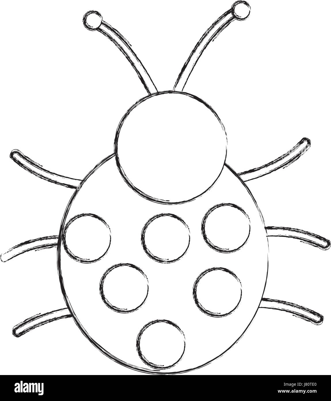 cute ladybug isolated icon Stock Vector Image & Art - Alamy