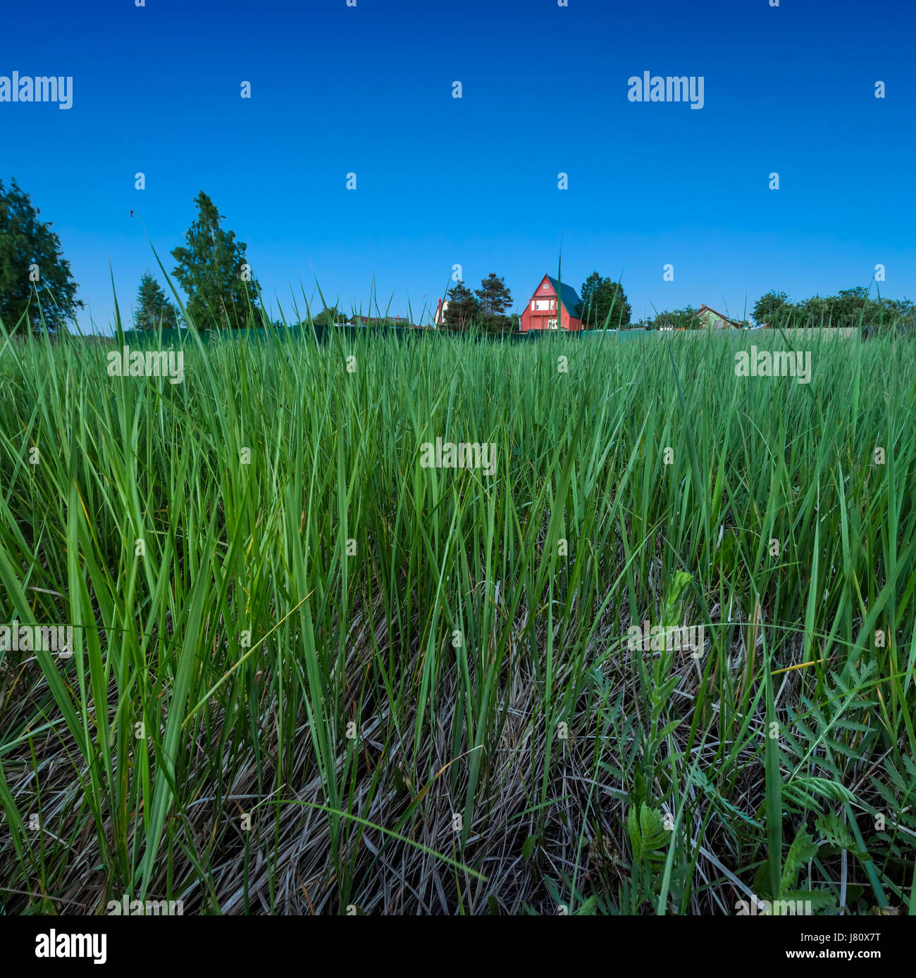 Deep Green Grass High Resolution Stock Photography and Images - Alamy