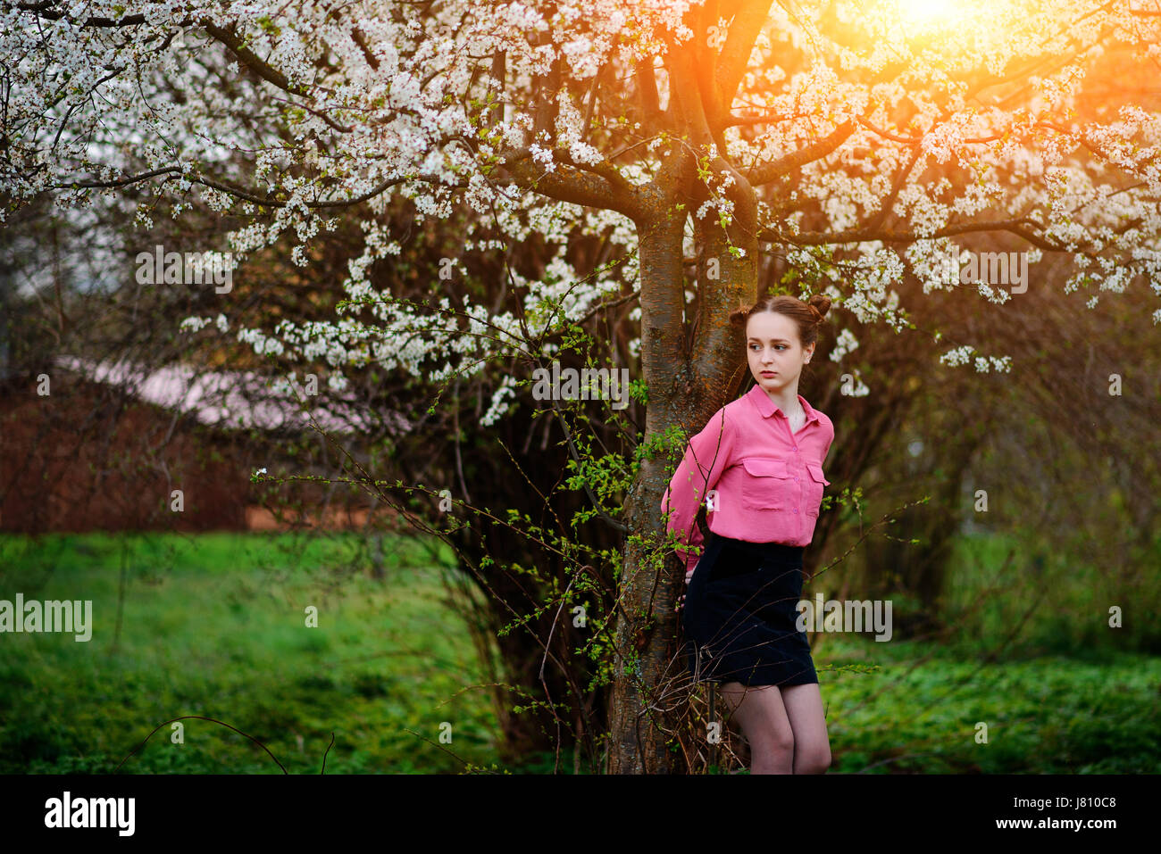 Young beautiful girl in a pink shirt standing under blossoming apple ...