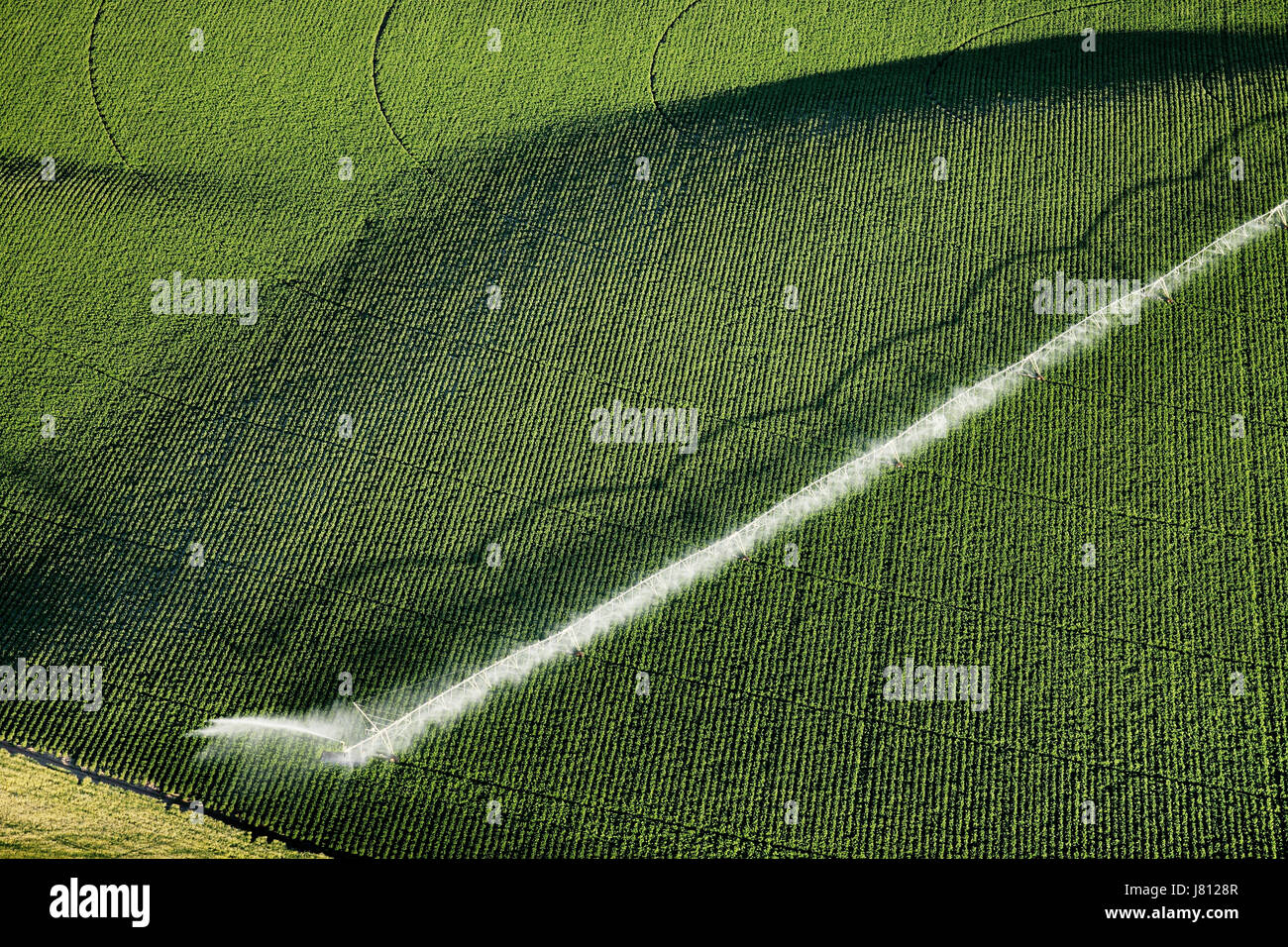An aerial view of farmland and pivot sprinklers watering the fields. Stock Photo