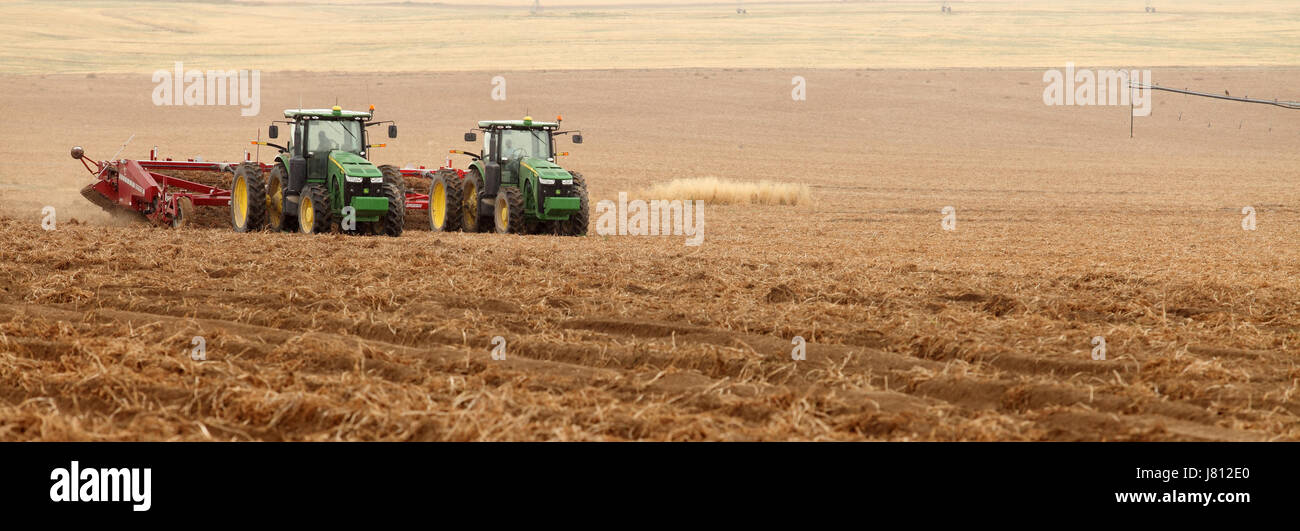 Mechanized harvesting of potatoes in the fertile farm fields of Idaho