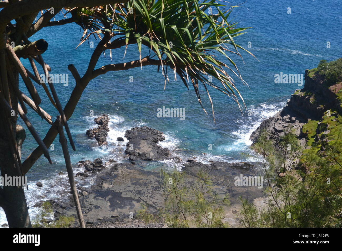 Hawaiian shore Stock Photo