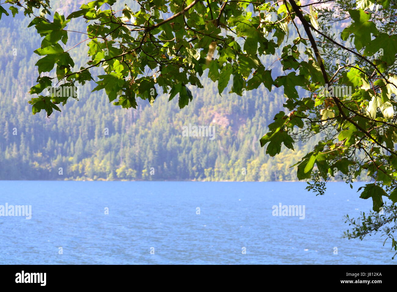 Crescent Lake, Washington Stock Photo Alamy