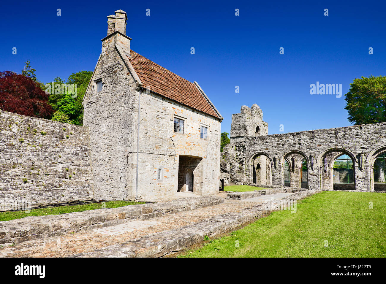 Ireland, County Roscommon, Boyle, Boyle Abbey, 12th century Cistercian ruin. Stock Photo