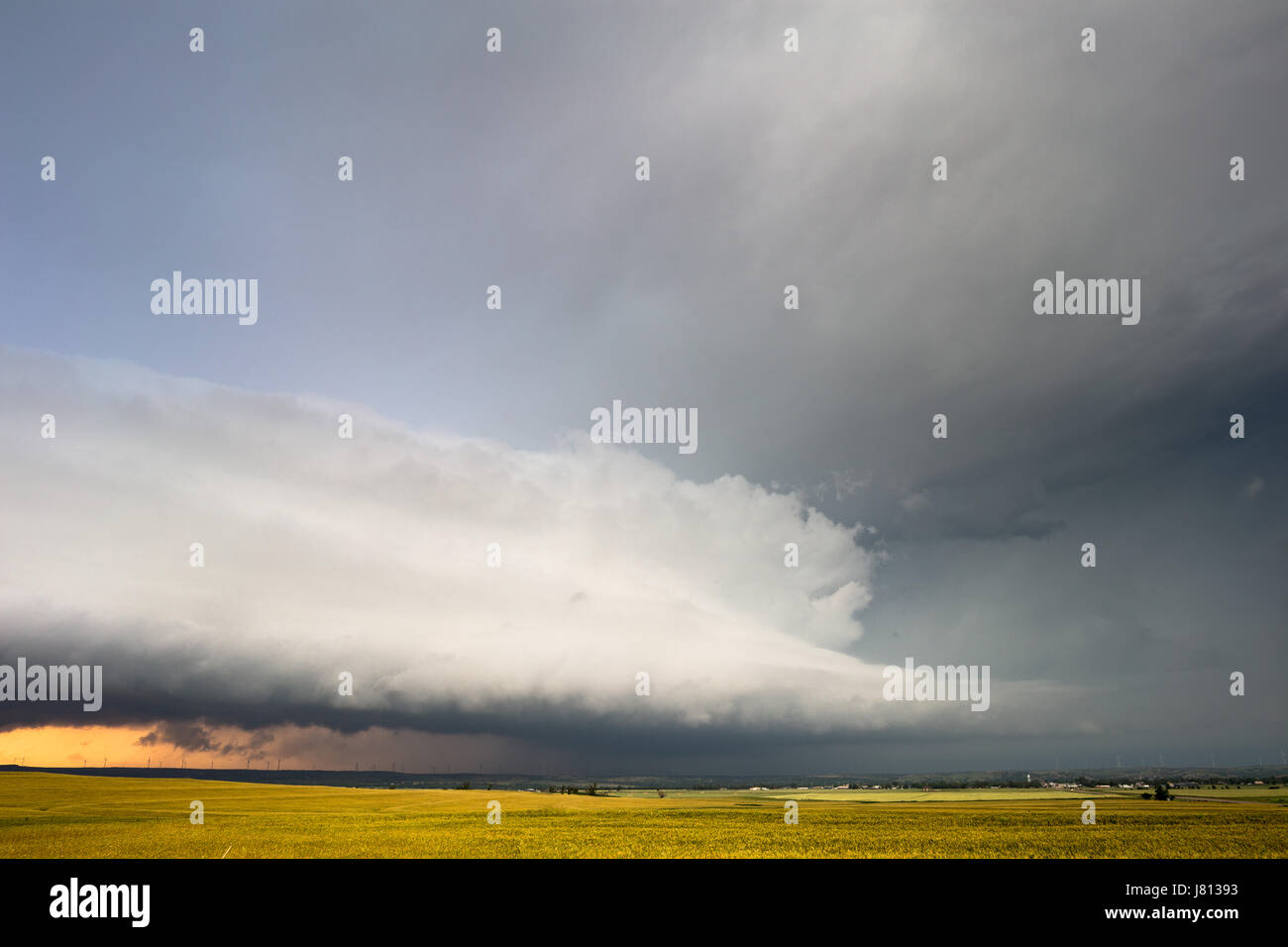Ominous shelf cloud ahead of a supercell storm at sunset near Leedey, Oklahoma Stock Photo