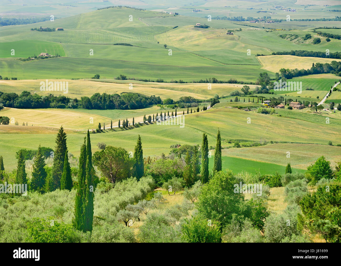 Italy, Tuscany, Val D'Orcia, Pienza, View of surrounding Tuscan countryside from its walls with cypress trees olive groves and wheatfields. Stock Photo