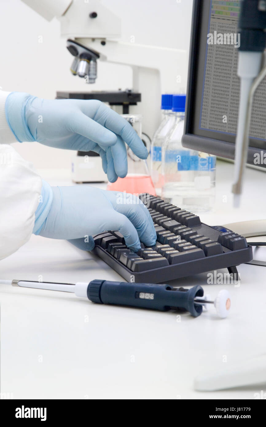 Gloved hands of a white-coated scientist using a computer in a bio-science laboratory Stock Photo